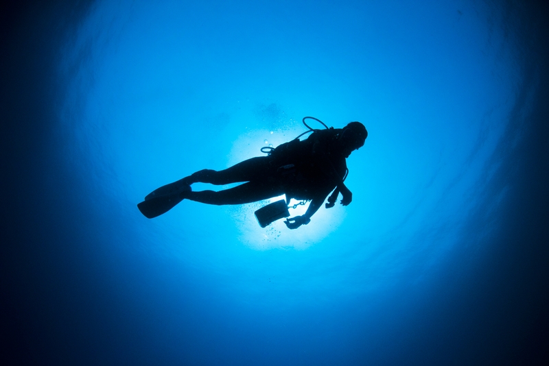 WordPressのテーマ「Diver」は超おすすめのテーマ